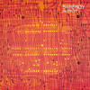 Synergy - Audion